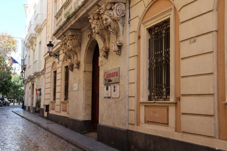 Adobe Shares Decline Despite Strong Operating Margins - Featured image