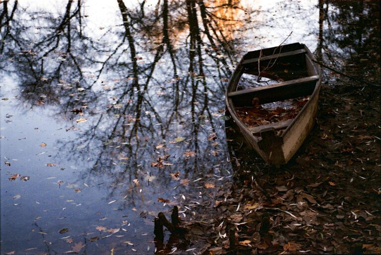 Bullish ADBE Stock Forecast for 2040 - Featured image