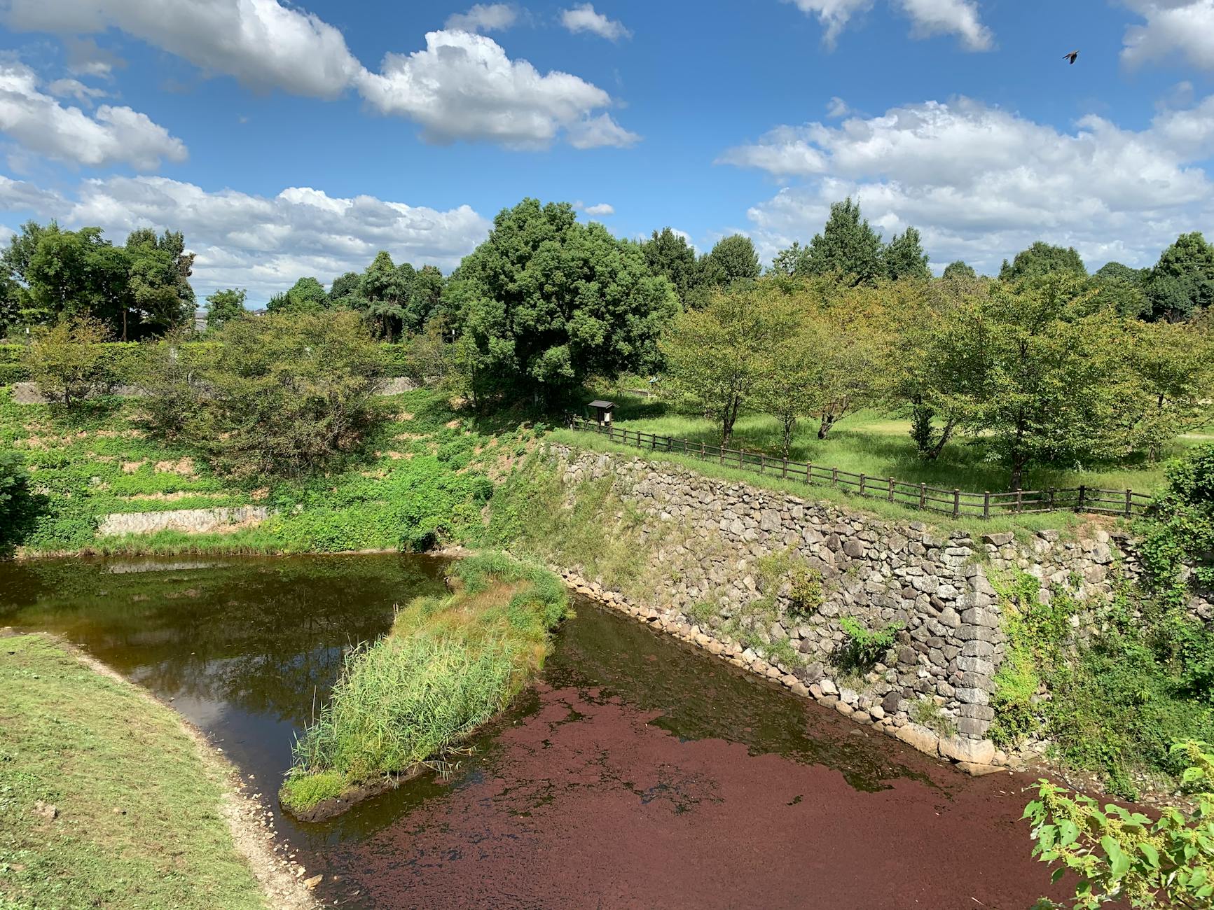 Competitive Moat and Market Position Analysis