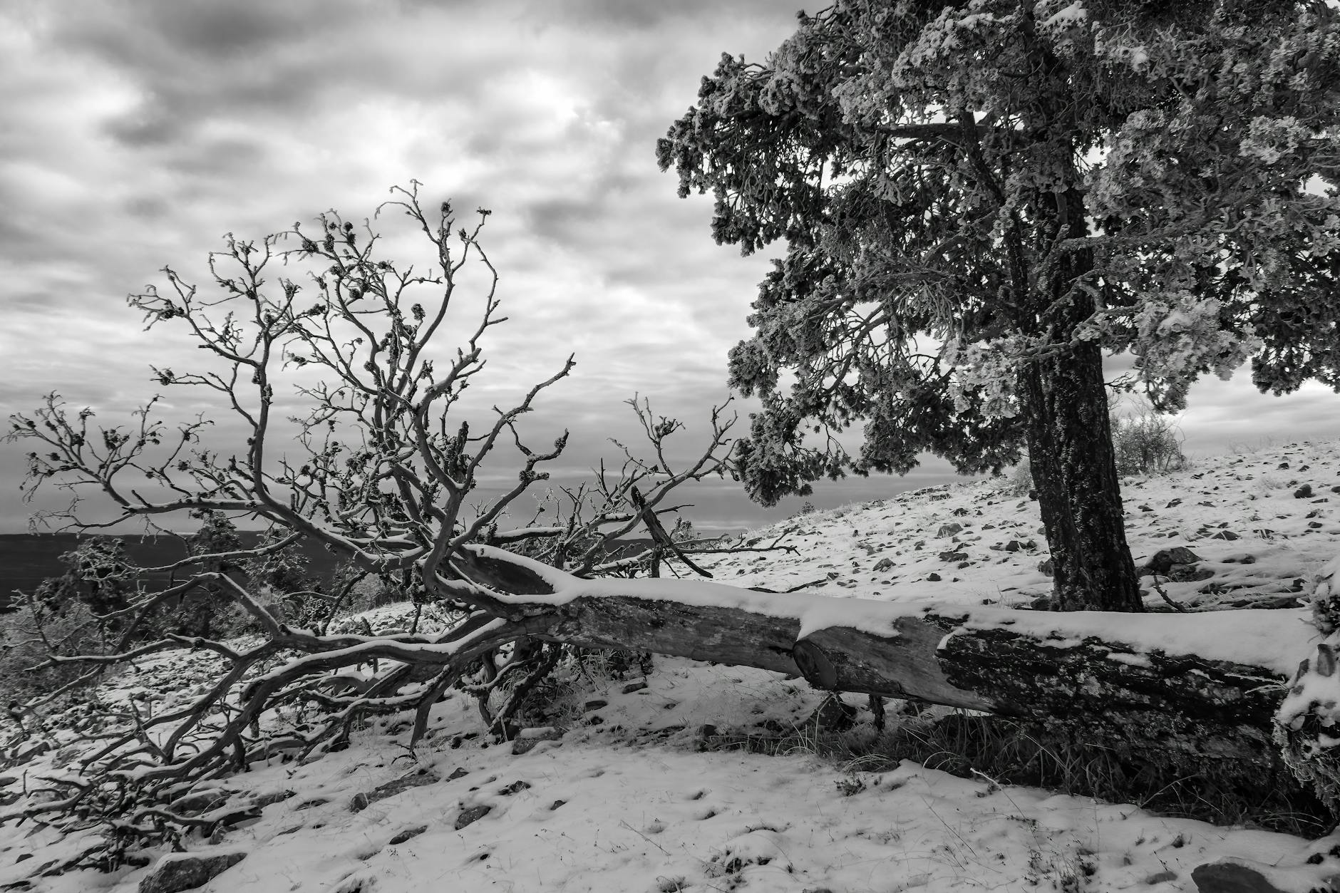 Denver's Below-Average Snowfall Season Creates Comparison Baseline