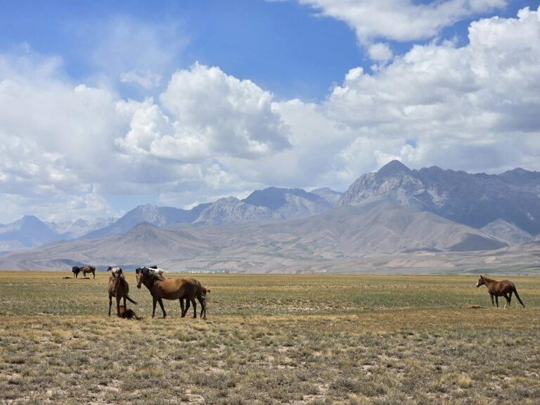 Former Music Mogul Jimmy Henchman Seeks Sentence Reduction After Life Imprisonment - Featured image