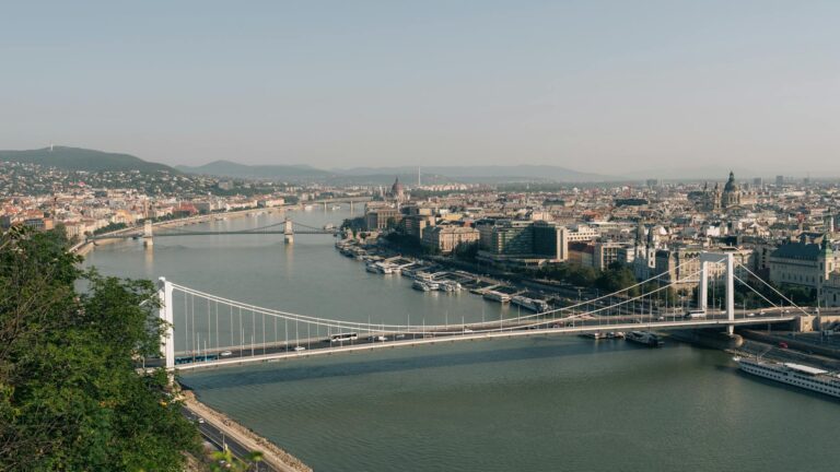 Former Theranos CEO Elizabeth Holmes Seeks Pardon From Donald Trump - Featured image