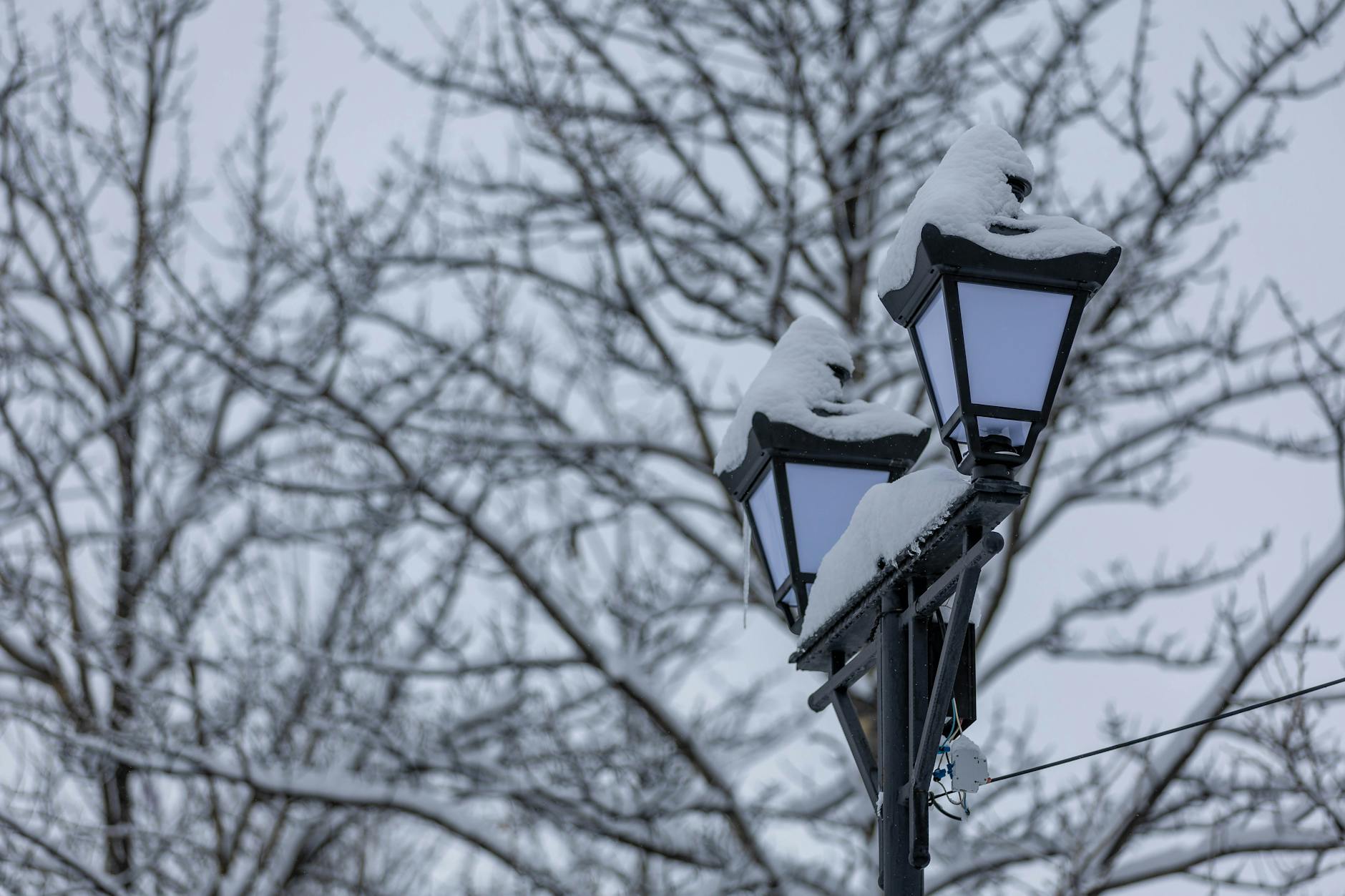 How Do Current Snow Totals Compare Across New Jersey Counties?