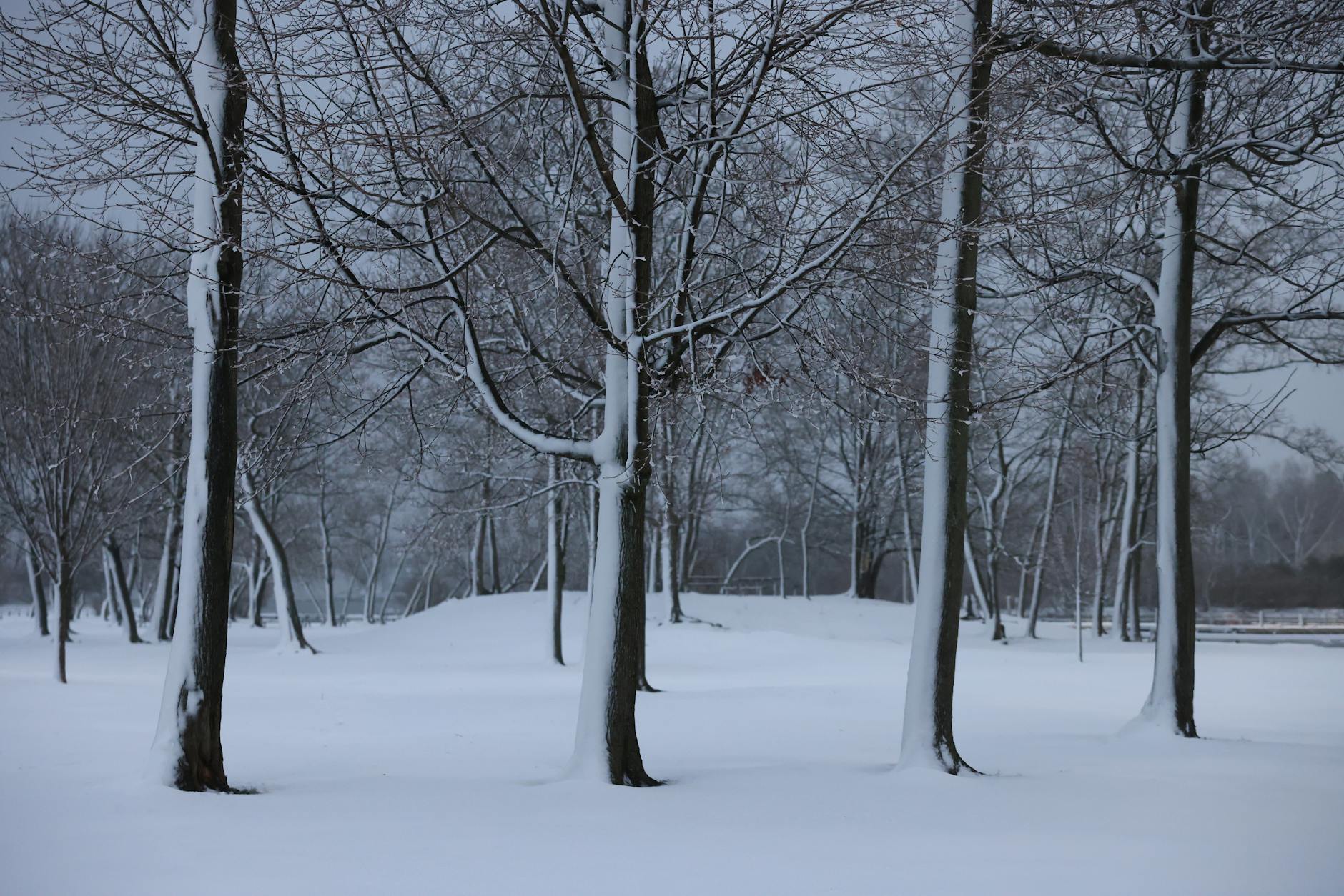 How Does the January 2026 Storm Compare to November's Record-Breaker?