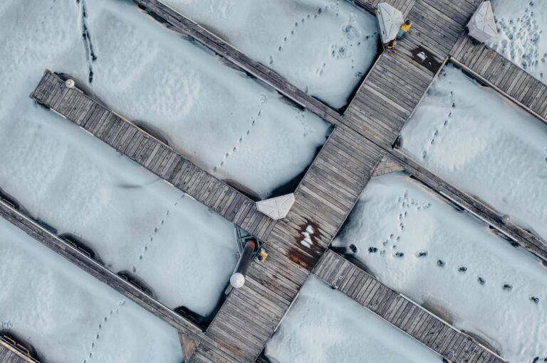 How Much Snow Did the Midwest Get From This Storm - Featured image