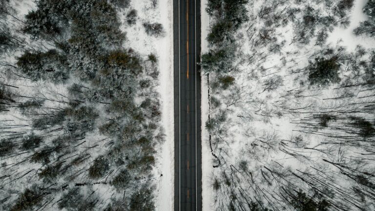 How Much Snow Did Upstate New York Get - Featured image
