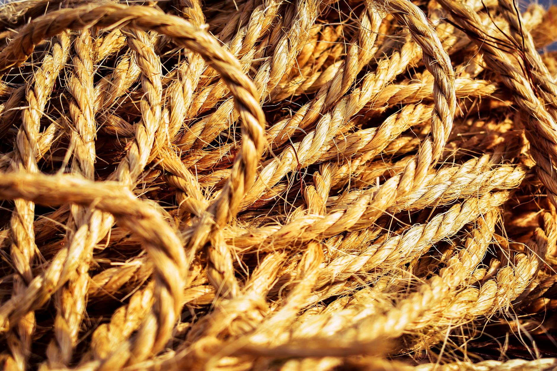 How Severe Is the Current Chicago Snow Forecast and What Areas Are Most Affected?