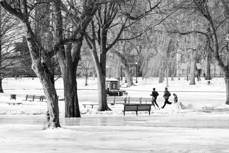 Latest Snow Forecast for Boston - Featured image