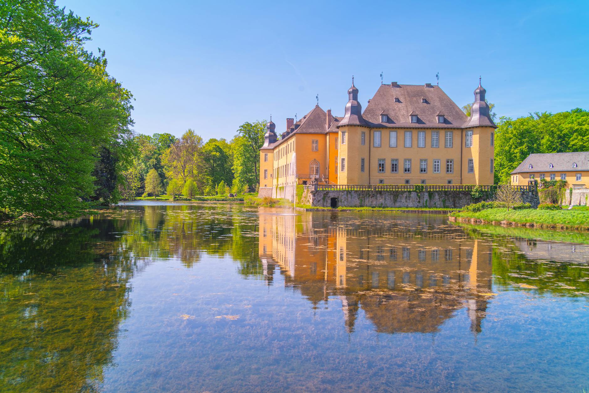 Nvidia's Competitive Moat and Market Position in AI Chips