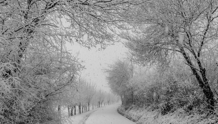 Snow Totals Across Pennsylvania Today - Featured image