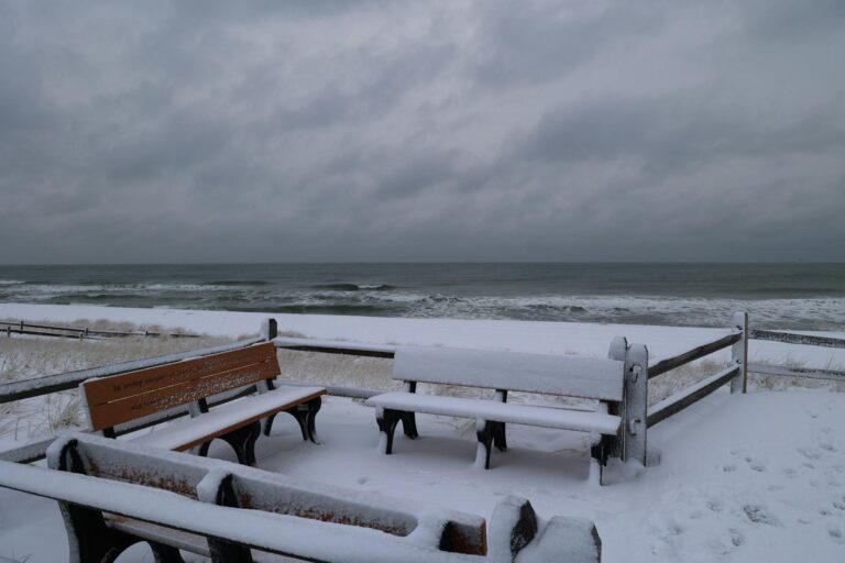 Snow Totals for New Jersey by County - Featured image