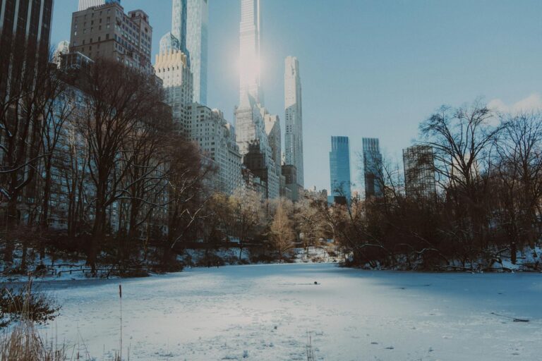 Snow Totals for New York City by Neighborhood - Featured image