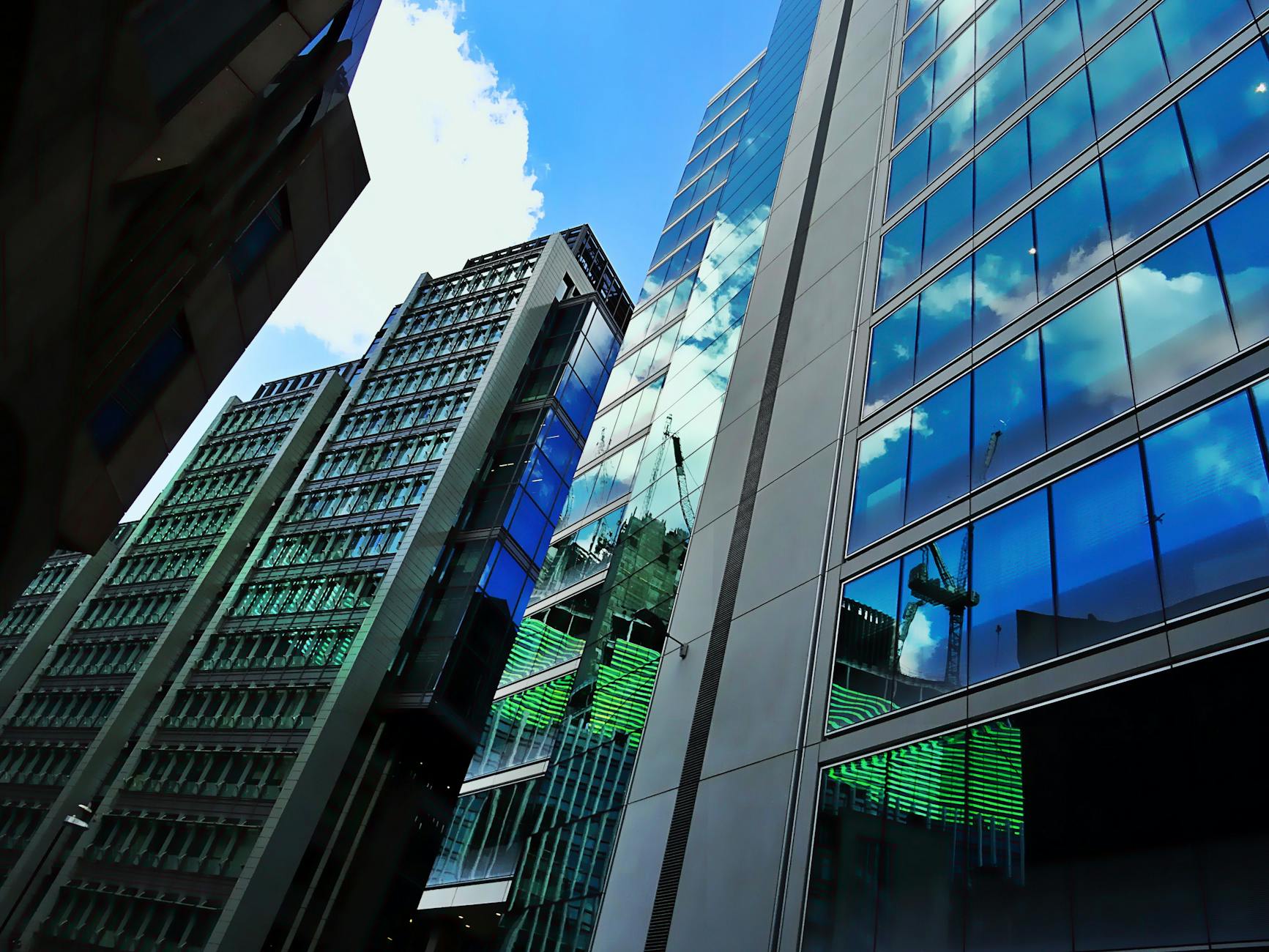 The Investment Implications of High-Profile Leak Investigations