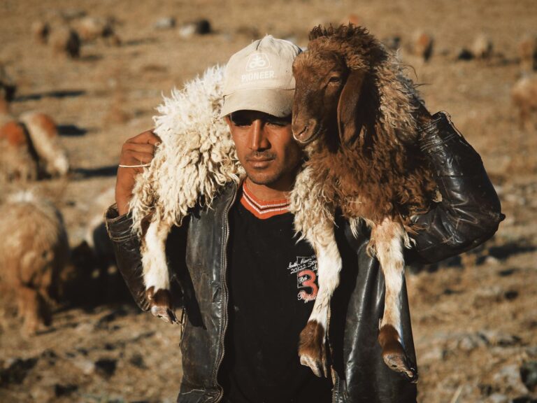 Verizon 5G Not Working in the US Today - Featured image