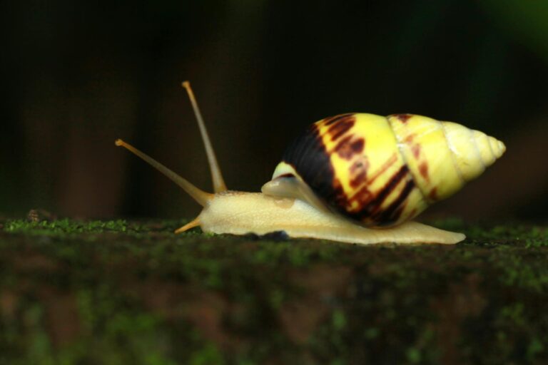 Verizon Network Slow Due to Outage Today - Featured image