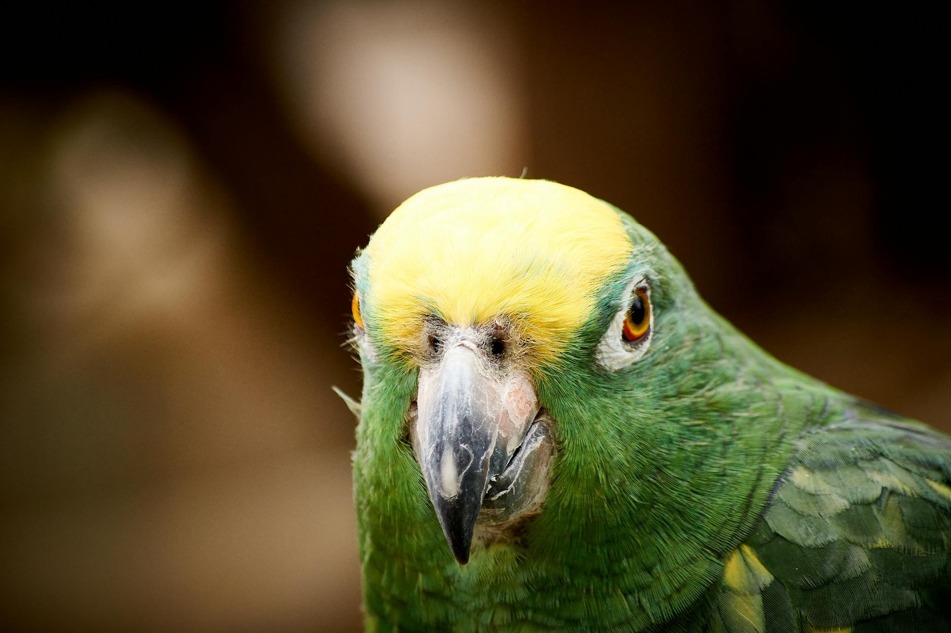 What Does Amazon's Current Cash Flow Situation Actually Tell Us?