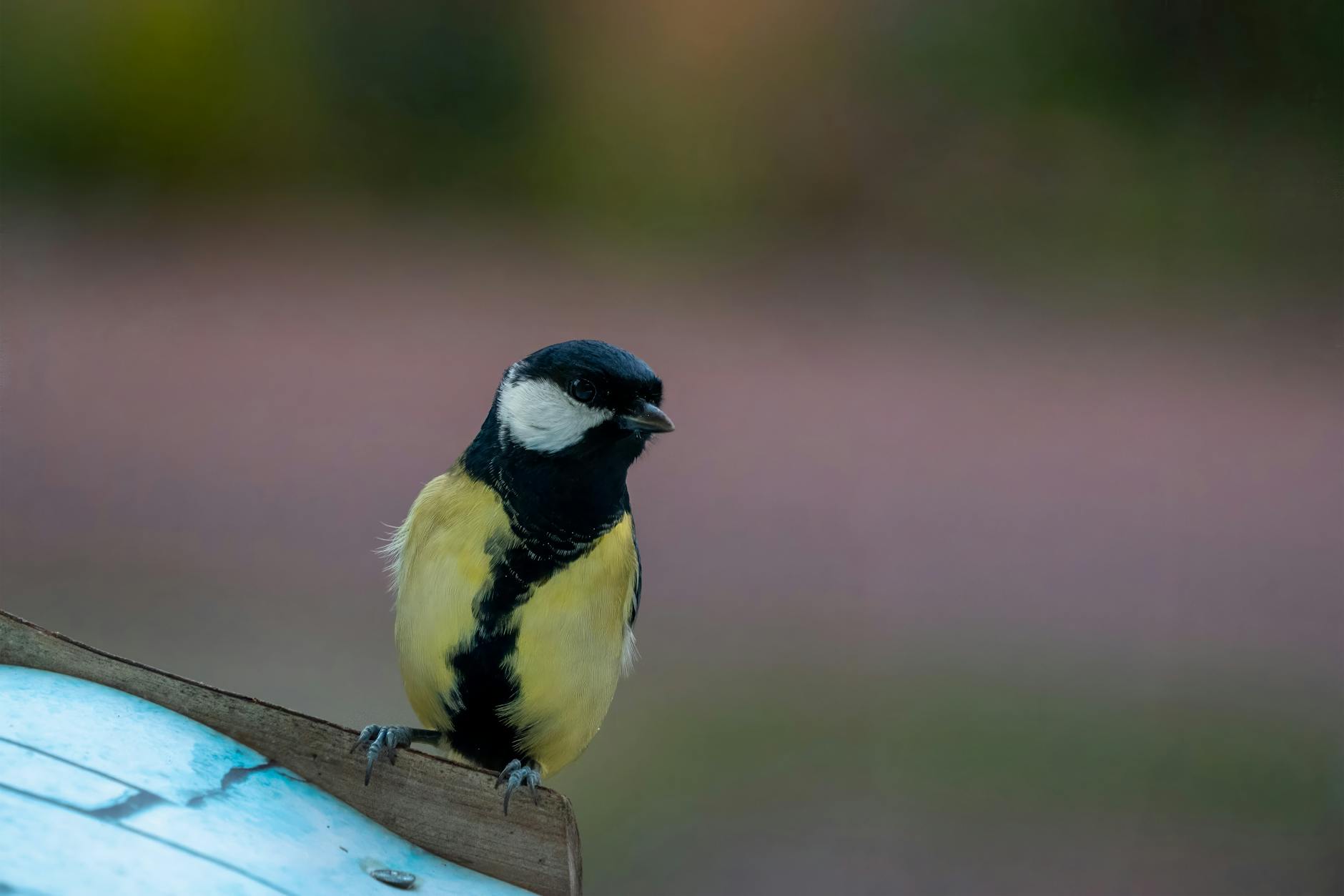 What Major Roads Are Currently Closed or Restricted in New Jersey?