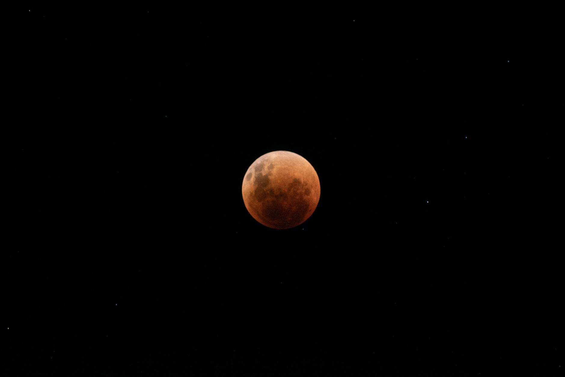 What Were the Expected Totals for Southern New Jersey and the Shore?