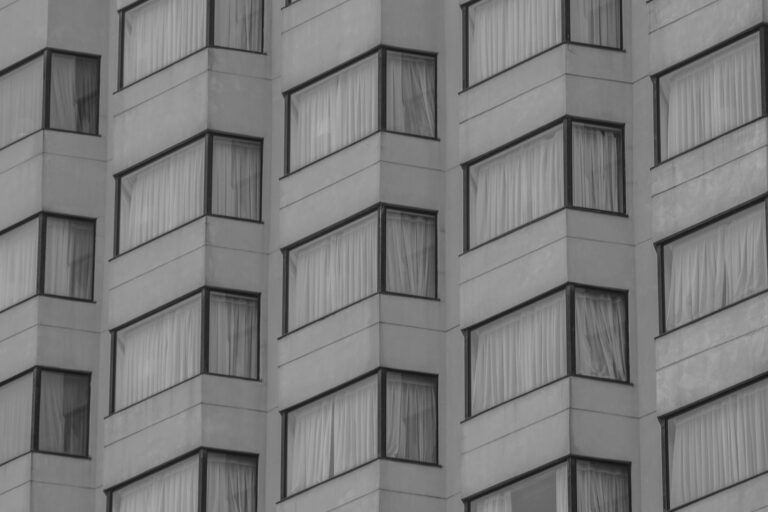 Why Adobe Is the Most Undervalued Stock Based on Long Term Growth - Featured image