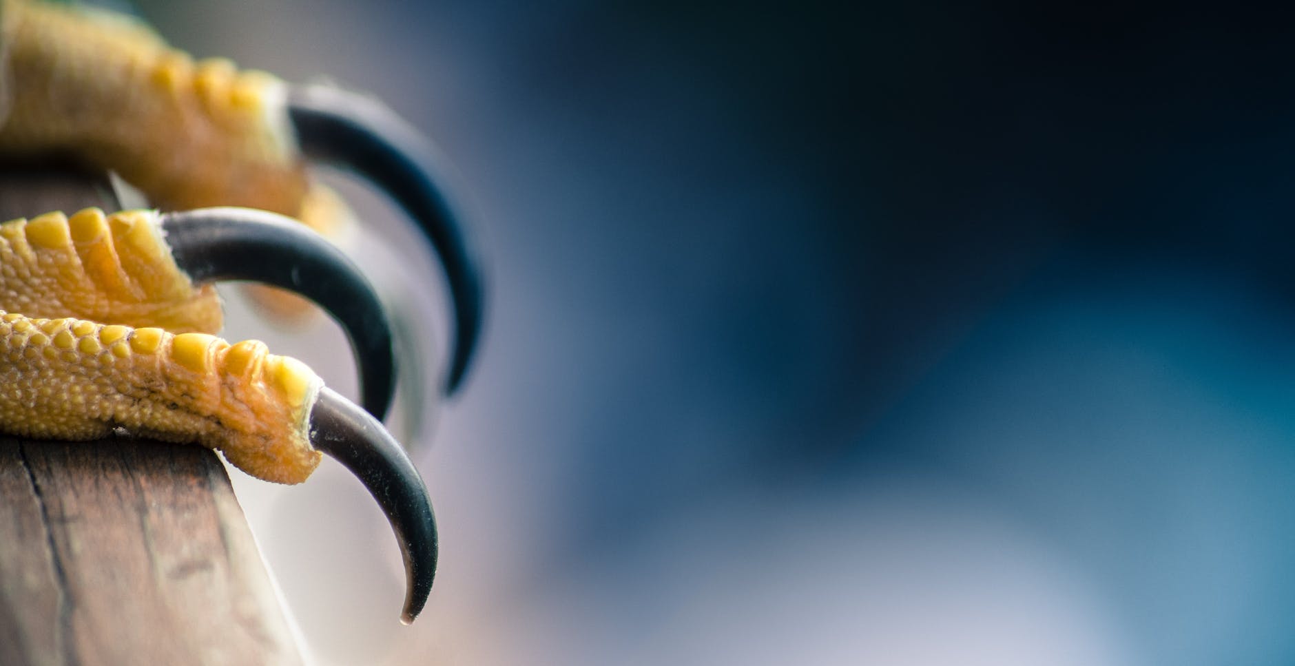 Why Does Nvidia Dominate AI Infrastructure in 2026?