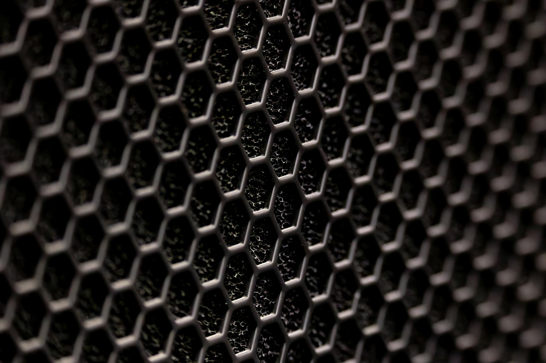 How Old Is Lindsey Vonn Compared to Other Elite Alpine Ski Racers Competing at This Level?