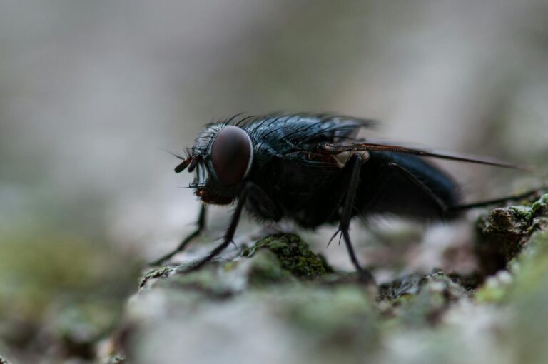 Measles Outbreak in South Carolina Is One of the Biggest in Decades - Featured image