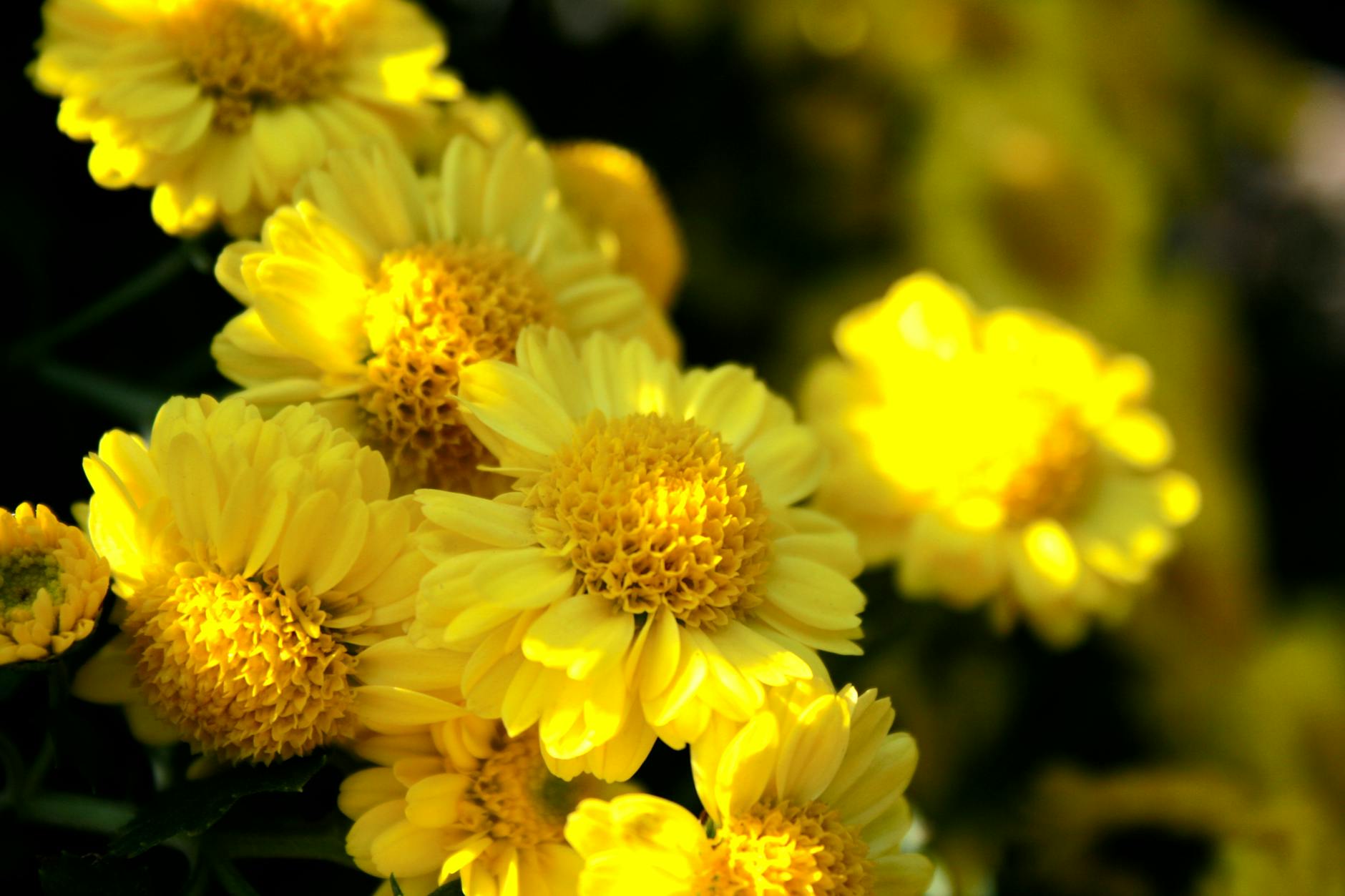 What Exactly Did the Epstein Files Reveal About Europe's Elite?