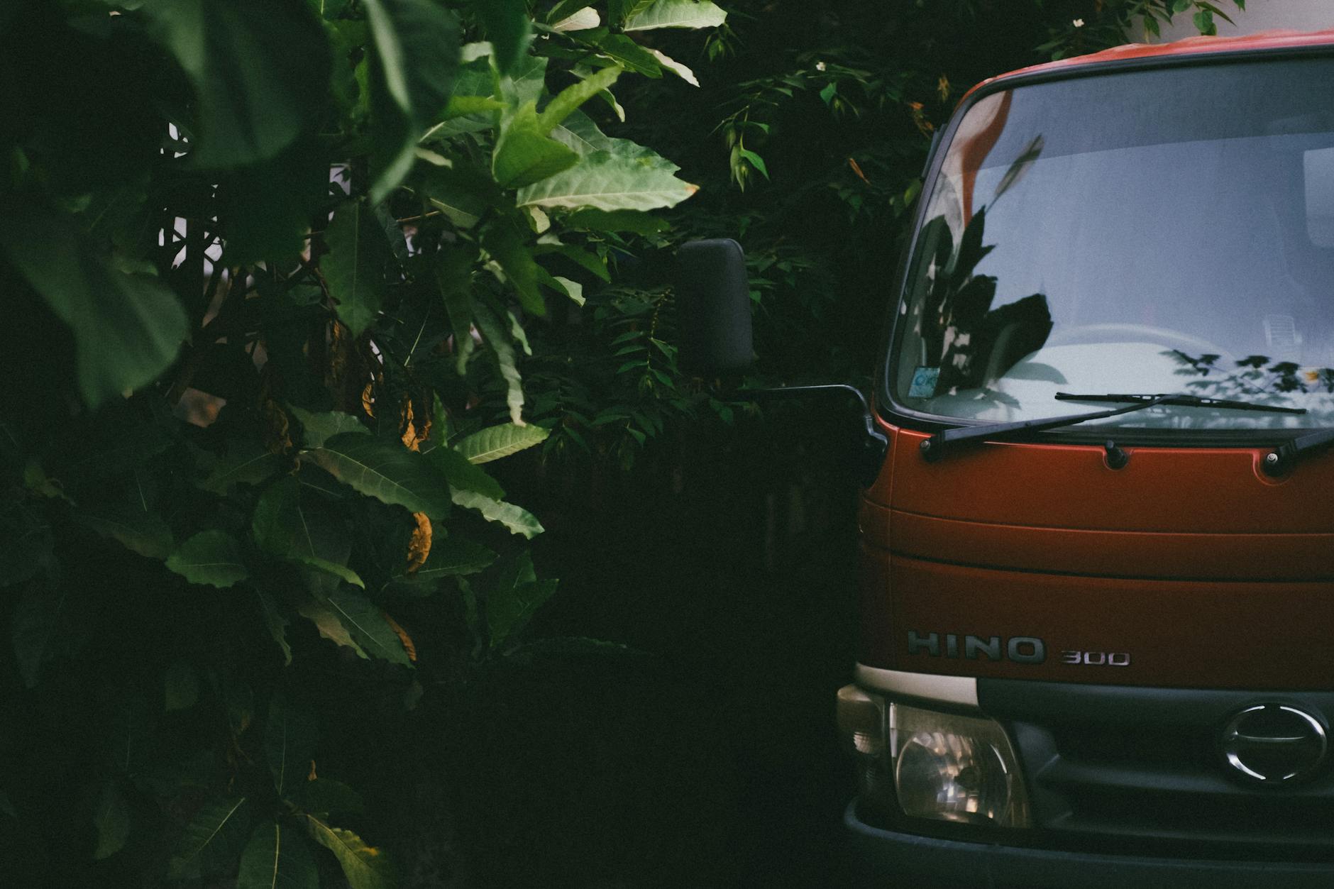 Why Did More Than 300 Anti-ICE Protests Happen Across America in a Single Day?