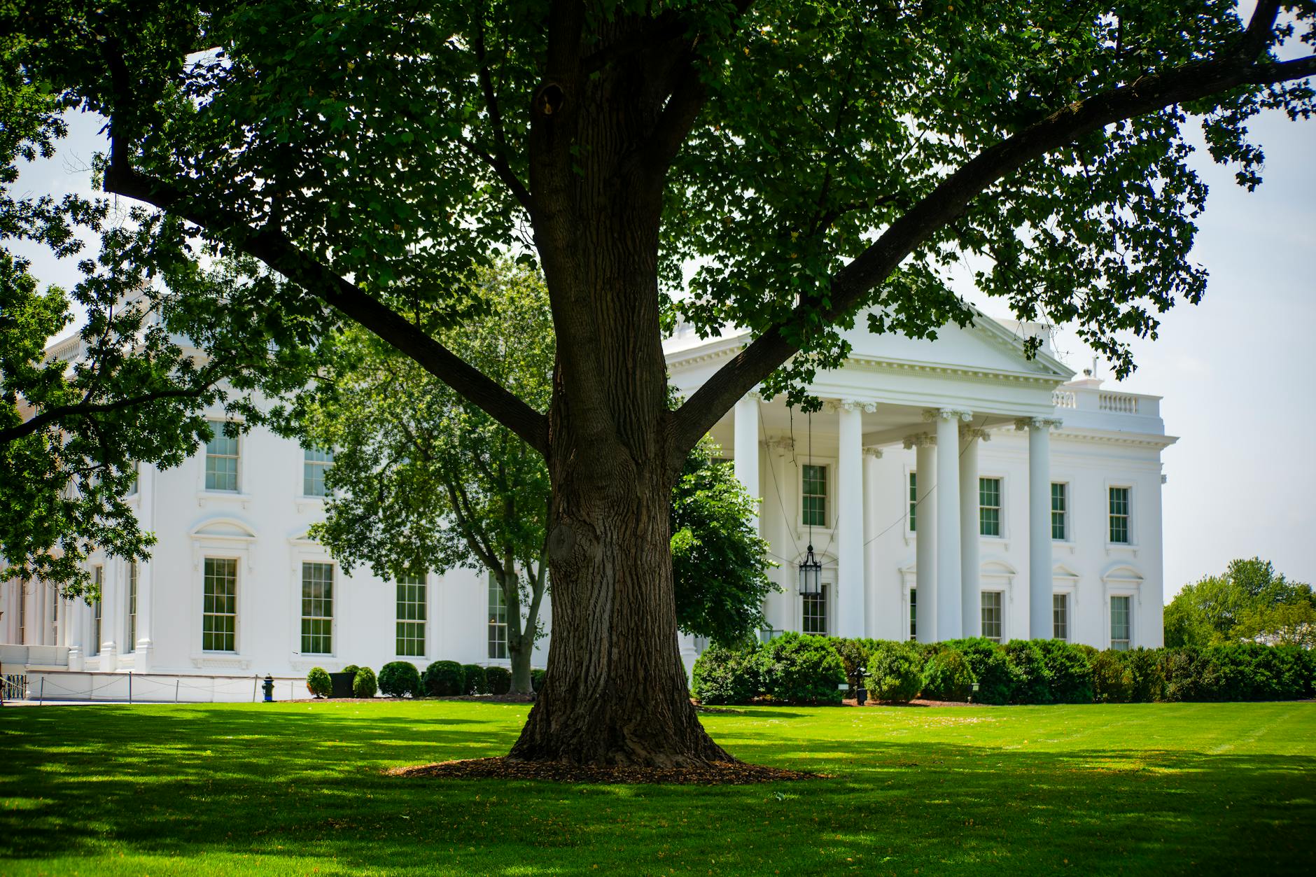 Why Tech Executives' White House Ties Are Fueling the Backlash