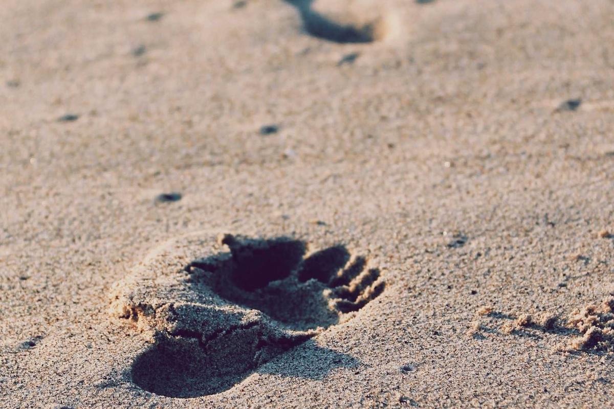 Adjust Your Rate Based on Experience and Specialization