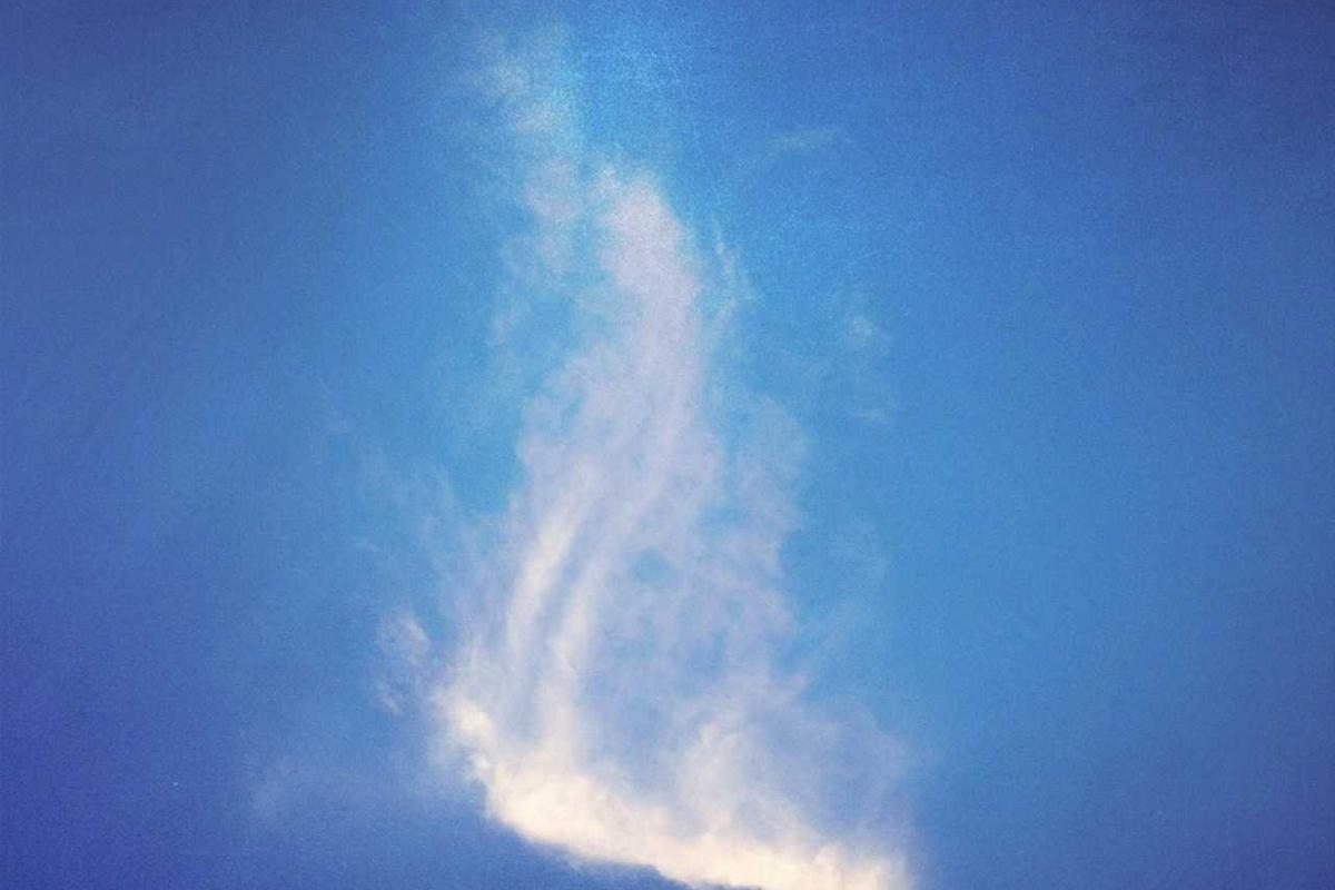 Amgen: Is Biotech Innovation Driving Growth - investment