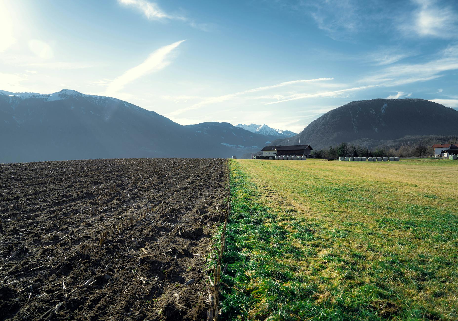 Energy and Agricultural Shocks as Multiplier Effects Across the Global Economy