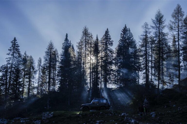 Image for Fact Check: Are College Students Approved For a $4,875 Hardship Relief Check Before Easter? No. Here's the Real Update.