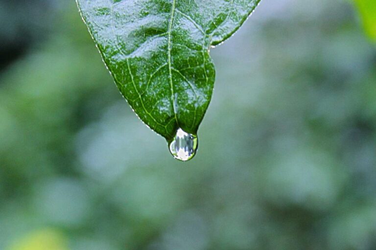 Image for Fact Check: Are Fixed-Income Seniors Approved For a $4,749 Middle-Class Tax Refund in February? No. Here's the Truth.