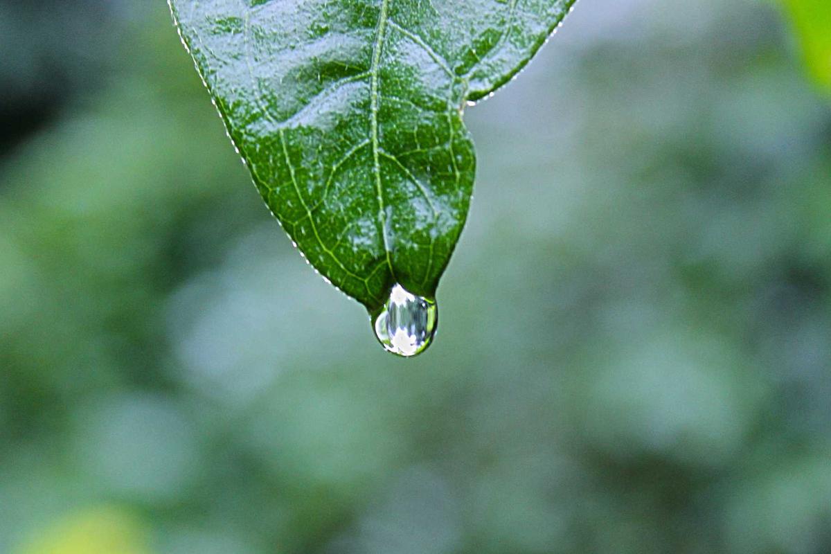 Illustration for Fact Check: Are Fixed-Income Seniors Approved For a $4,749 Middle-Class Tax Refund in February? No. Here's the Truth.