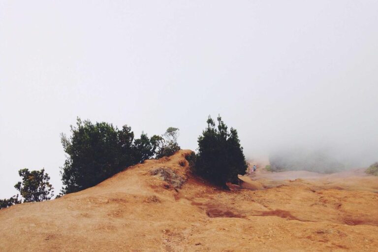 Image for Fact Check: Are Fixed-Income Seniors Set to Receive a $4,810 IRS Relief Deposit Automatically? No. Here's What You Really Qualify For.