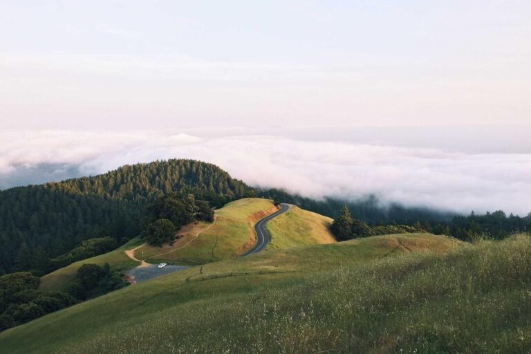 Image for Fact Check: Are Seasonal Workers Being Mailed a $775 1099 Worker Bonus by End of Month? No. Here's What's Legit.