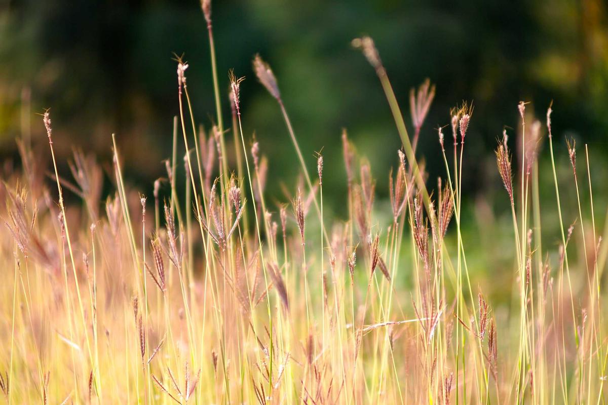 Illustration for Fact Check: Is a $1,280 Hardship Grant Arriving in Q2 2026? No. Here's What's Actually Available.