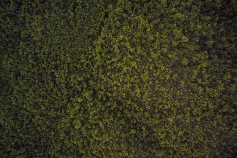 Image for Fact Check: Is a $1,470 Utility Relief Refund Being Mailed by March 15? No. Here's What's Legit.