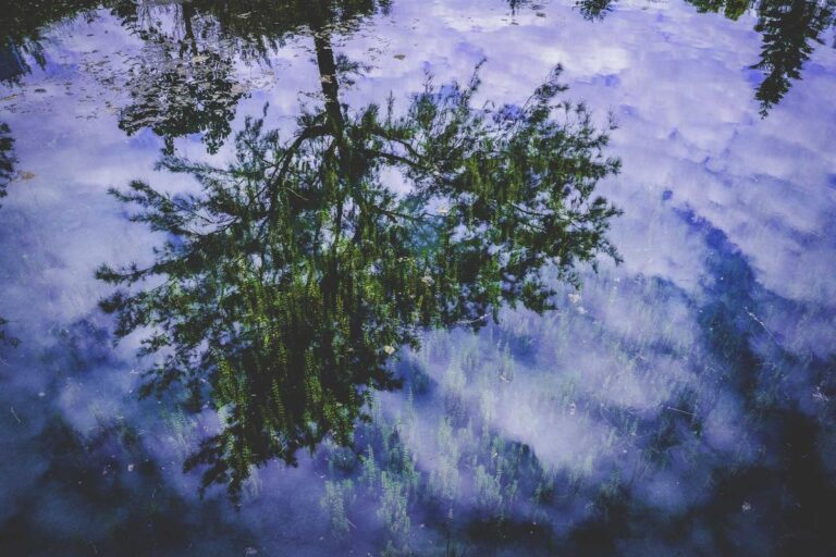 Image for Fact Check: Is a $2,235 Refund Boost Being Applied in the Coming Weeks? No. Here's What's Real and What's Not.