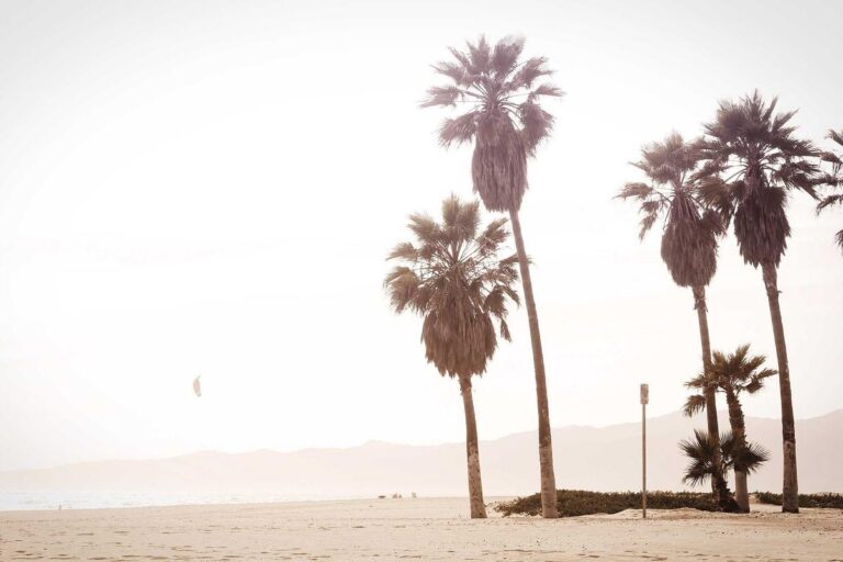 Image for Fact Check: Is a $3,125 Retroactive Payment Hitting Bank Accounts in February? No. Here's the Real Story.