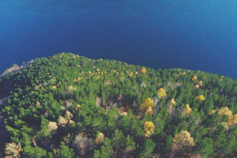 Image for Fact Check: Is a $3,755 Internet Subsidy Check Hitting Bank Accounts in Q1 2026? No. Here's the Real Update.