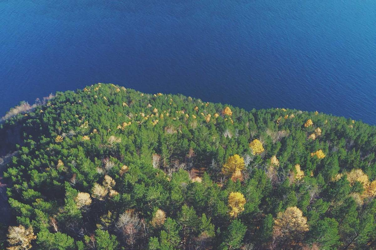 Illustration for Fact Check: Is a $3,755 Internet Subsidy Check Hitting Bank Accounts in Q1 2026? No. Here's the Real Update.