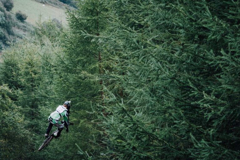 Image for Fact Check: Is a $4,945 Senior Discount Rebate Being Sent to All States? No. Here's What's Real and What's Not.