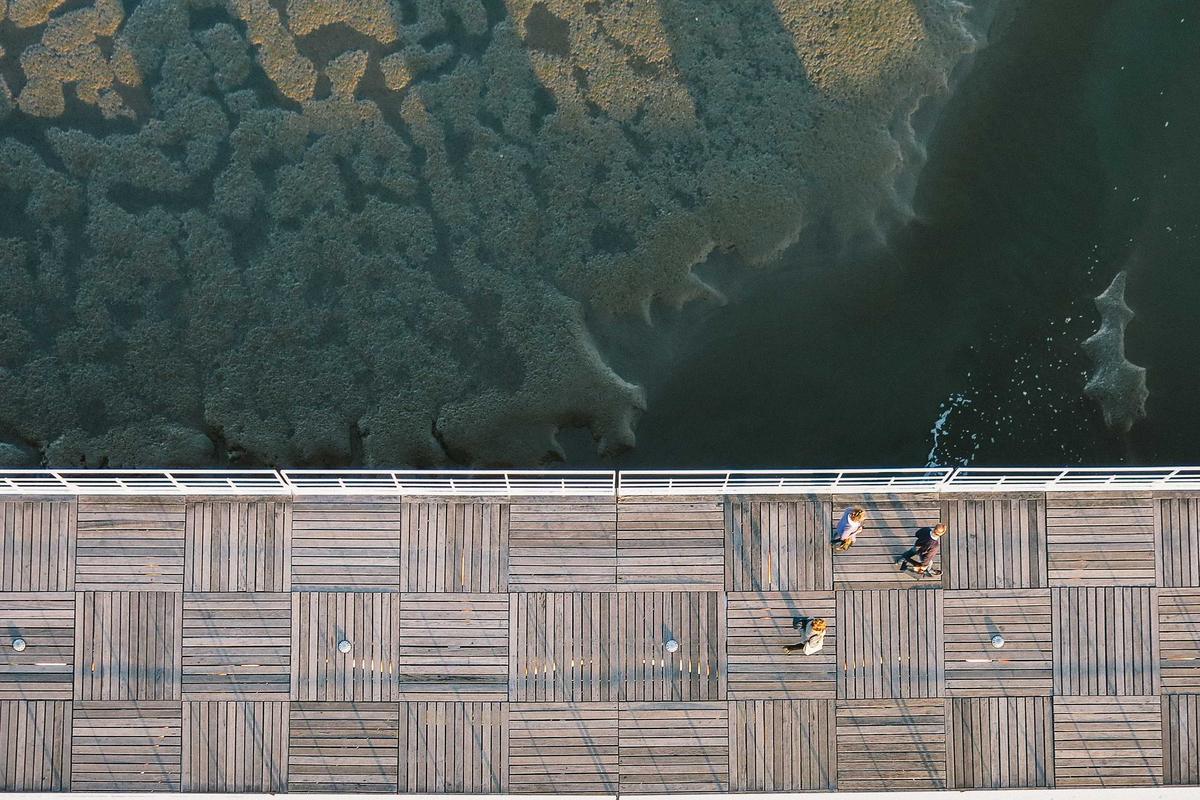 Illustration for Fact Check: Is a $825 Transportation Credit Being Direct Deposited in the Coming Weeks? No. Here's What's a Scam.