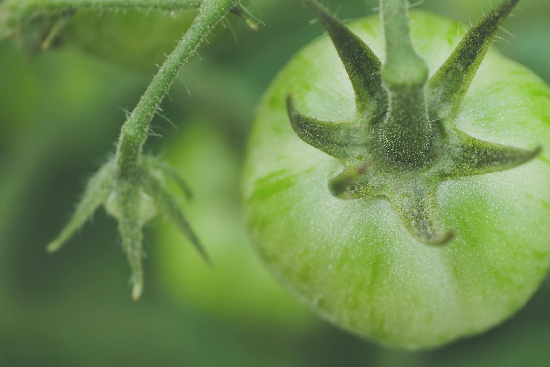 How Life Stages Shape Your Starting Position