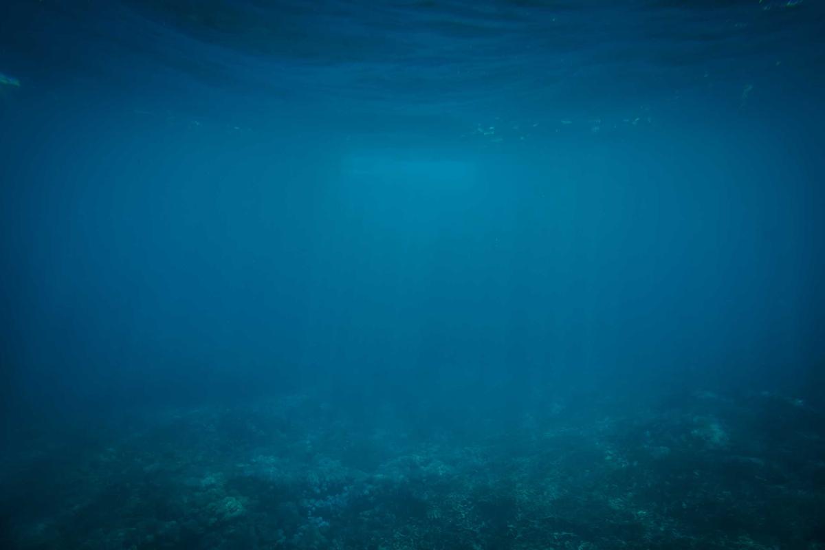 How Success Creates Complacency and Strategic Blindness