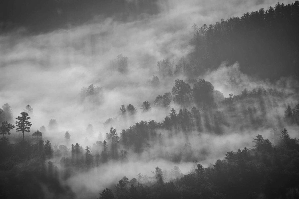 How to Use Midjourney or DALL-E to Create Art for Social Media - stock market