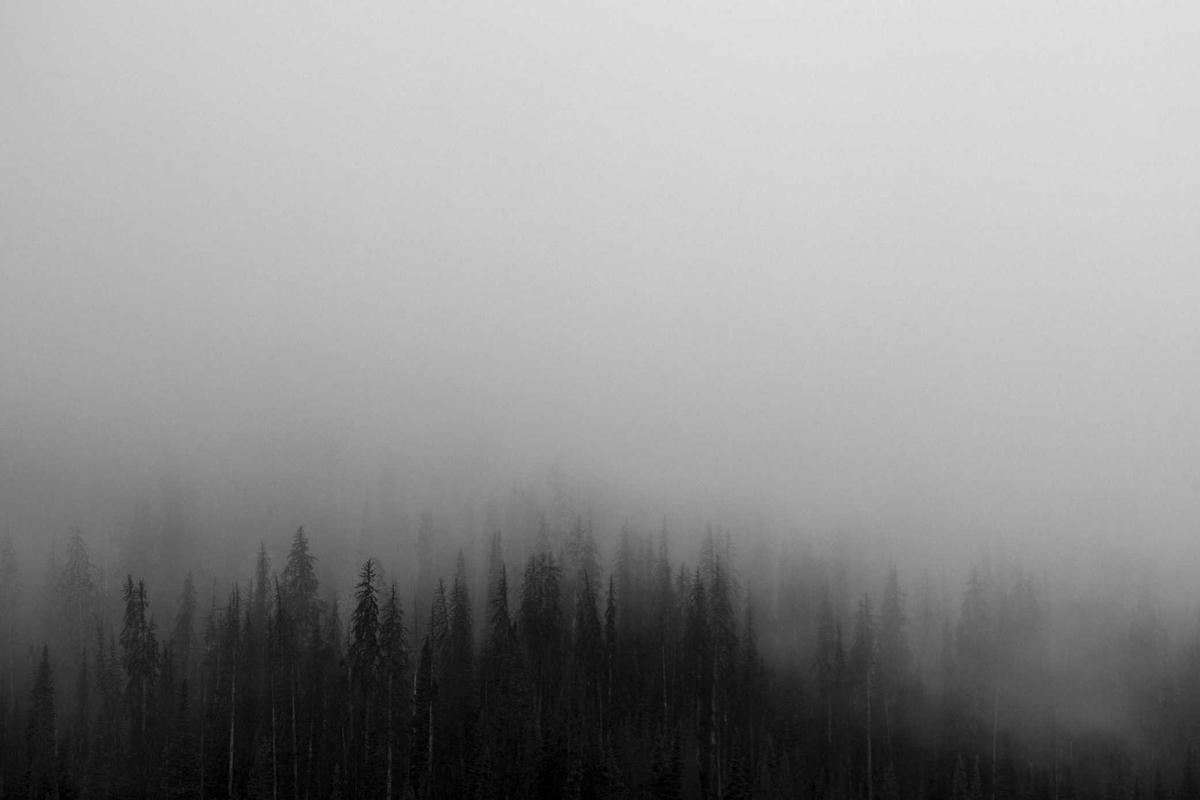 How to Verify Any Government Benefit Claim