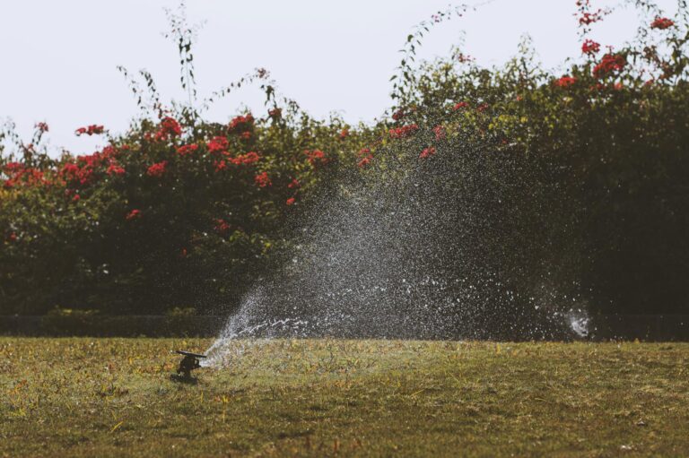 How to Winterize Your Sprinkler System Before the First Freeze - Featured image